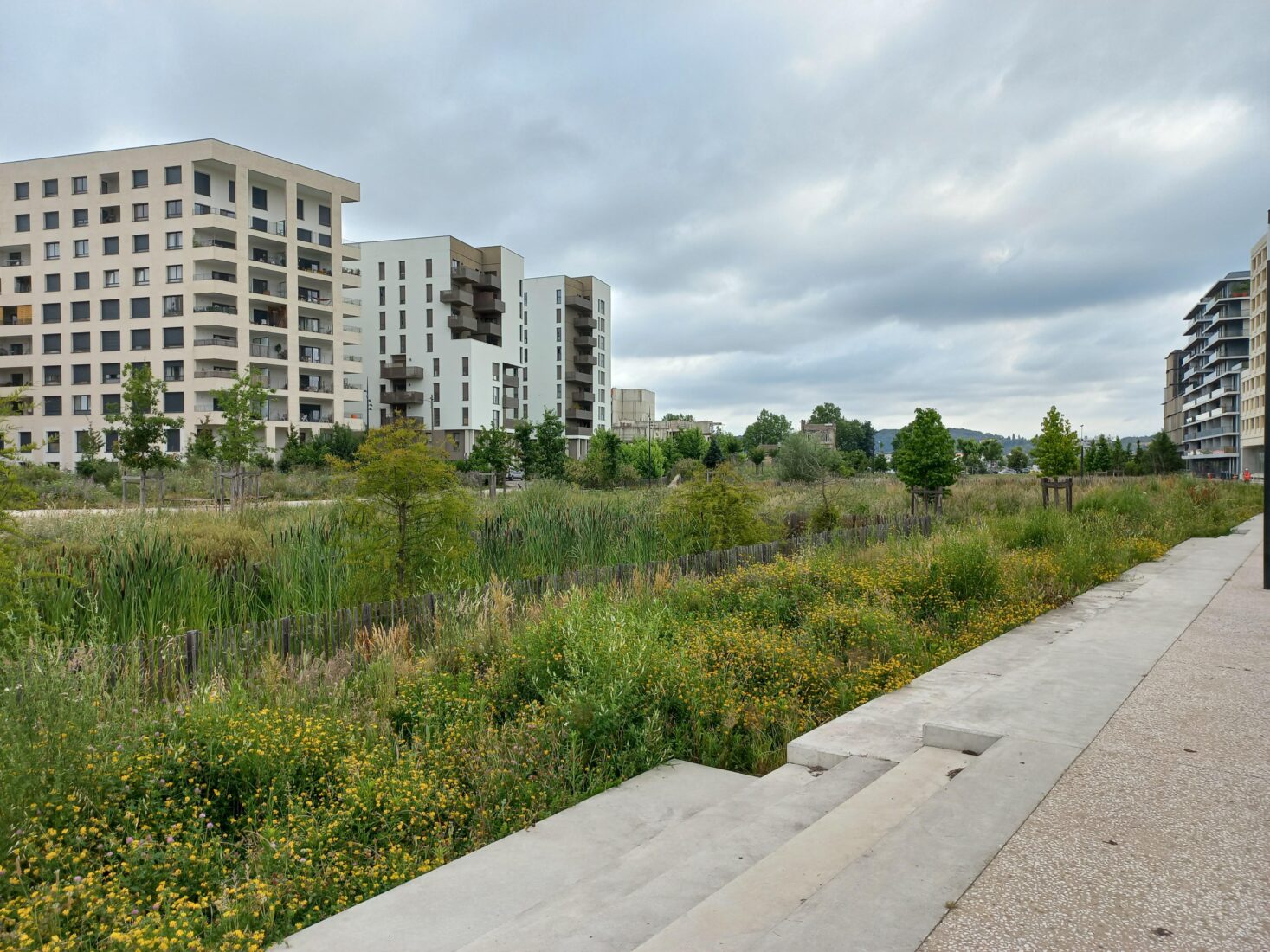 Visite du Jardin de l&rsquo;Ars au sein du quartier Saint-Jean Belcier à Bordeaux